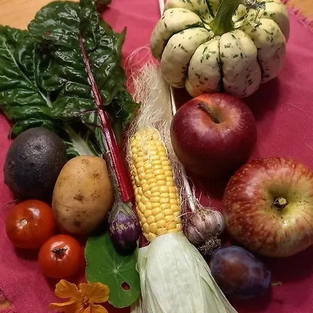 Bluetenpracht * جورك